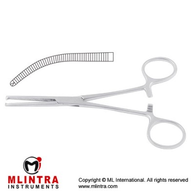 Ochsner-Kocher Haemostatic Forcep Curved - 1 x 2 Teeth Stainless Steel, 22 cm - 8 3/4